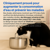 Protégez votre chat de la déshydratation et des urgences urinaires avec VitaChat