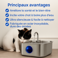 Protégez votre chat de la déshydratation et des urgences urinaires avec VitaChat