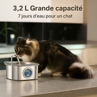Protégez votre chat de la déshydratation et des urgences urinaires avec VitaChat