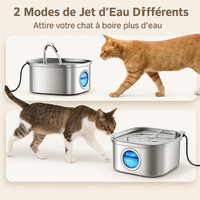 Protégez votre chat de la déshydratation et des urgences urinaires avec VitaChat