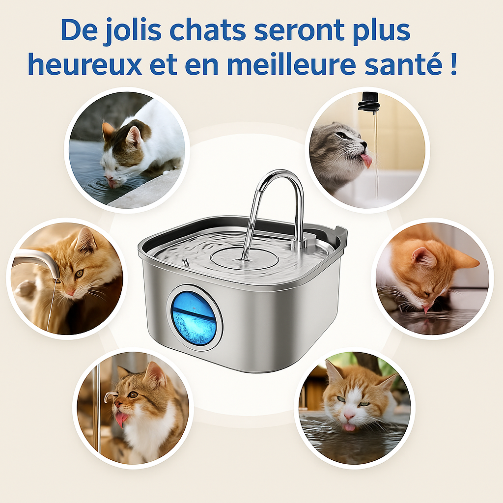 Protégez votre chat de la déshydratation et des urgences urinaires avec VitaChat